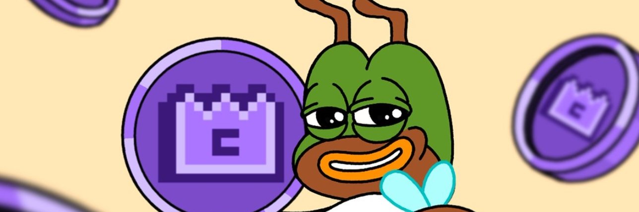 0xiongf's profile banner image