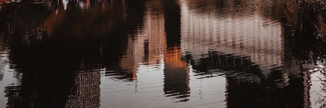 Louisadream's profile banner image