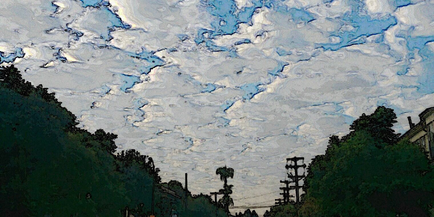 mulvey_maureen's profile banner image