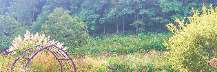 PrsPtpt's profile banner image