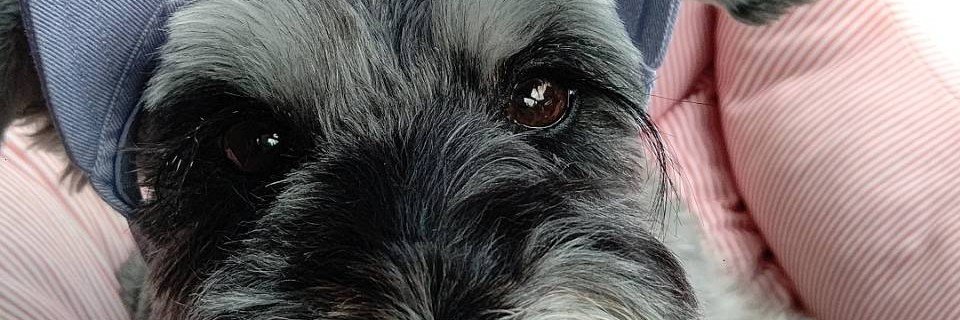 2946Love's profile banner image
