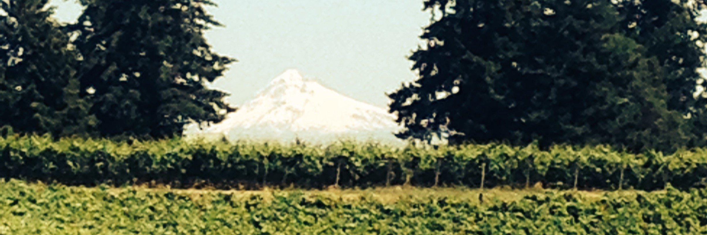 ATLSommelier's profile banner image