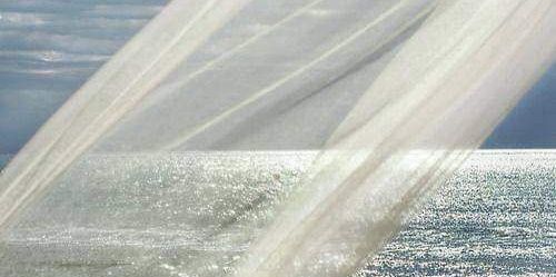 SimonaGabriele's profile banner image