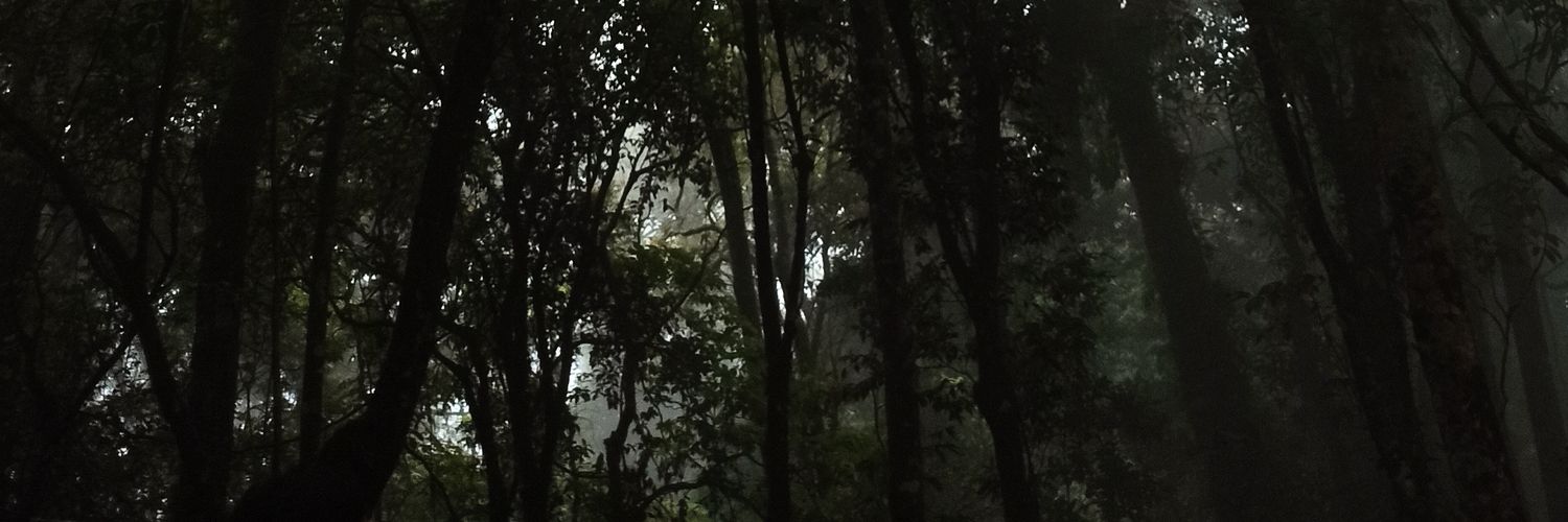 whyufernanda's profile banner image