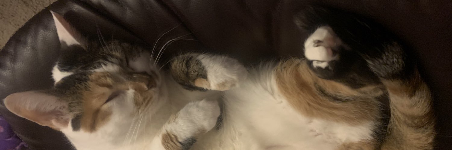 ArzyB's profile banner image