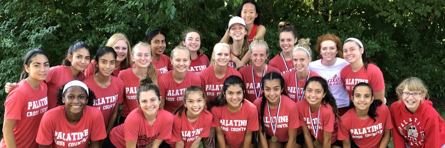 LadyPiratesXCTF's profile banner image
