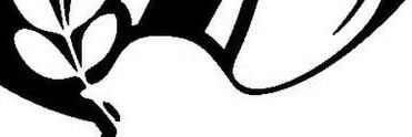whiskipunk's profile banner image
