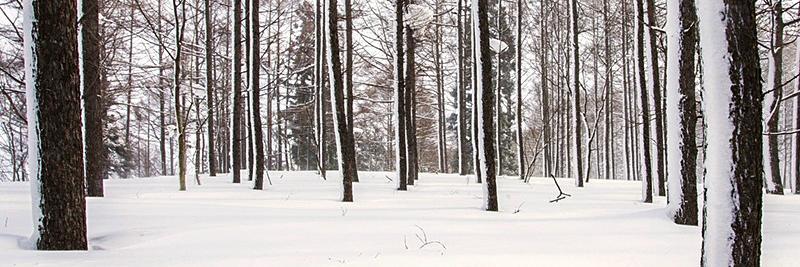 iamMichaelDane's profile banner image
