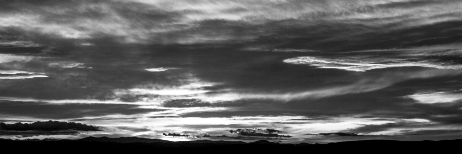 Channel Otter banner