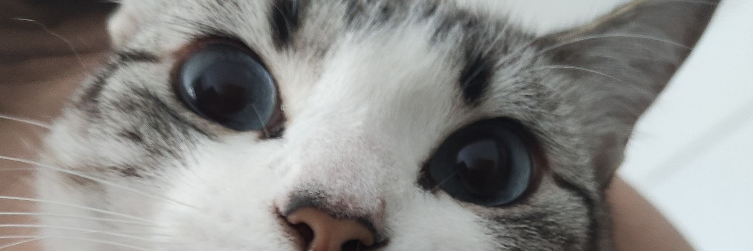MJCALAZANS's profile banner image