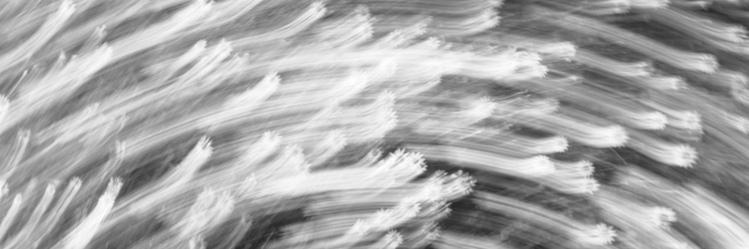 Diogo_S04's profile banner image