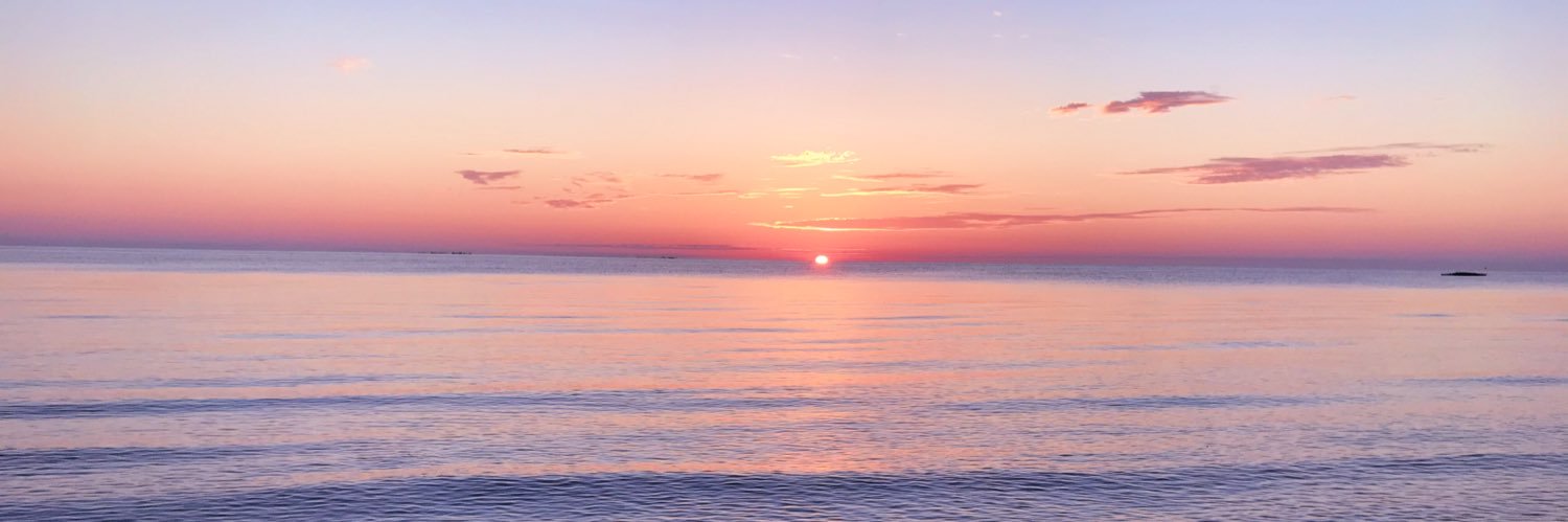 abbydavis181's profile banner image