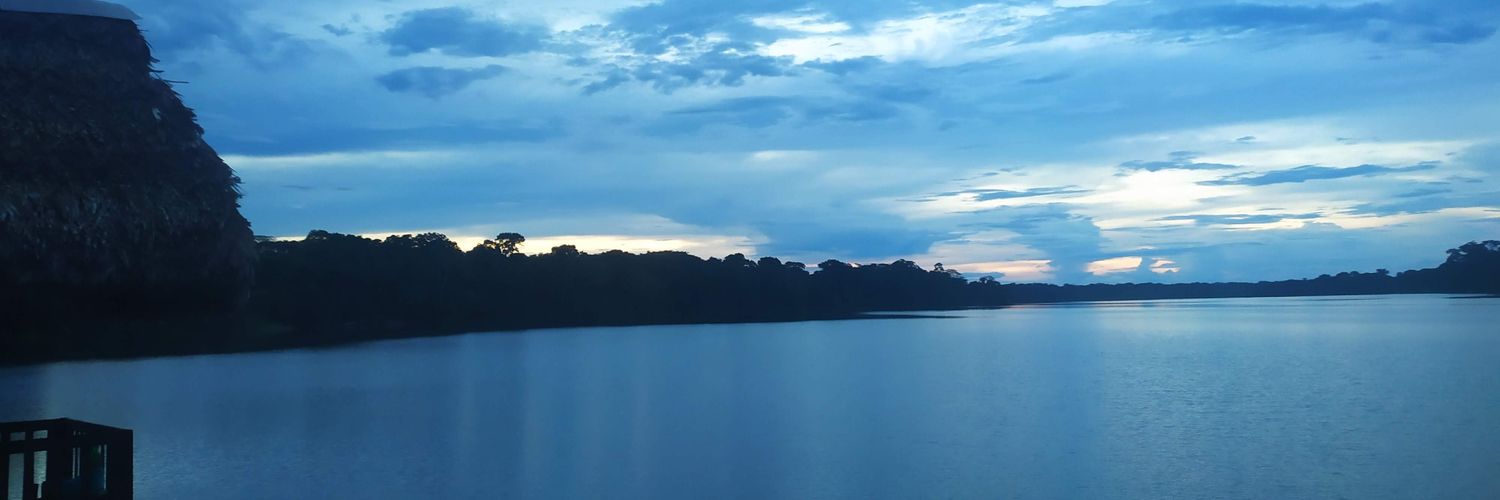 MartinAranibar's profile banner image
