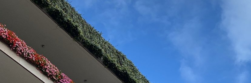 anaaa__luuu's profile banner image