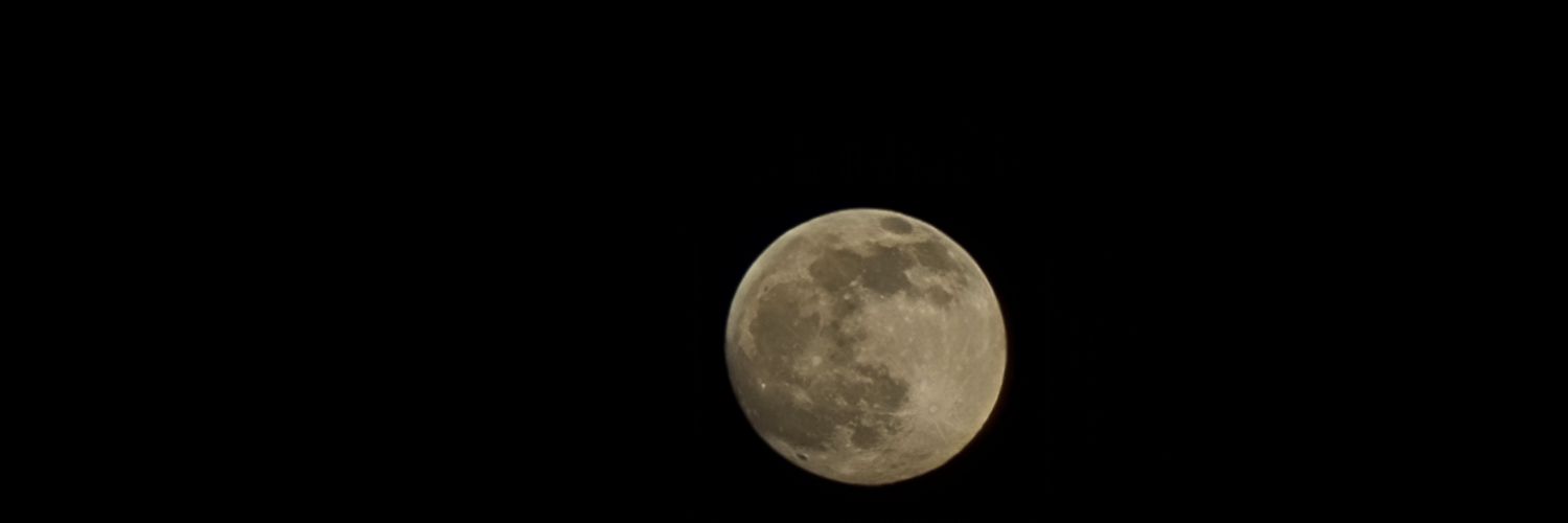Mally_ACM's profile banner image