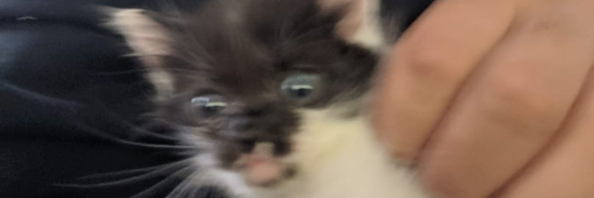GenaranMan's profile banner image