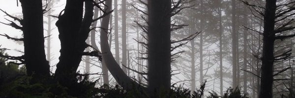 samhaeuser Profile Banner