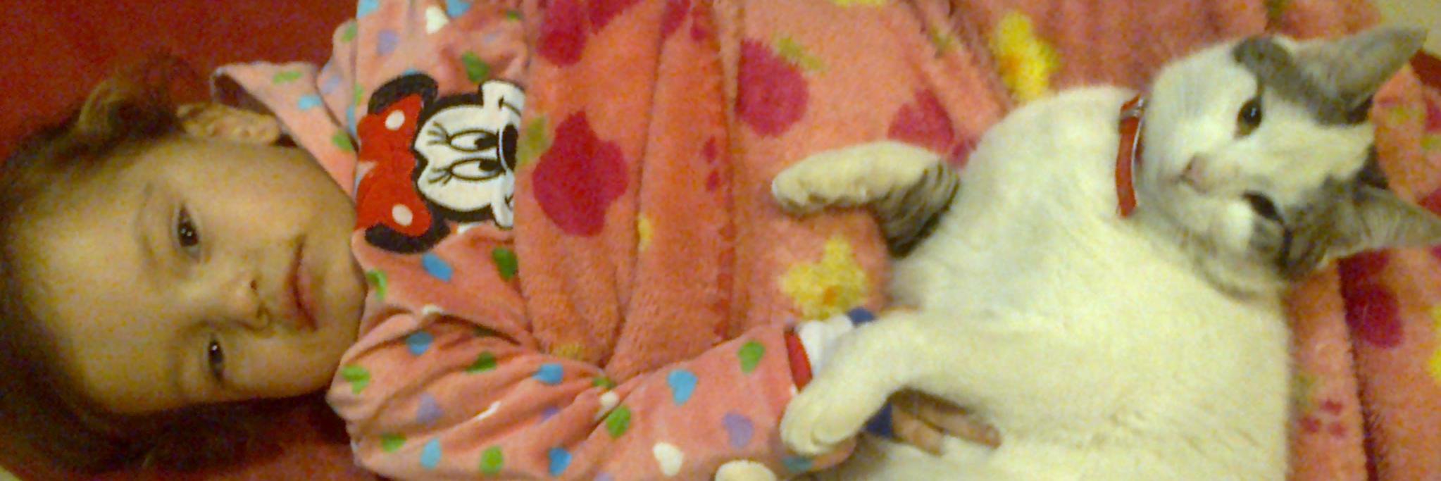 fattypautato's profile banner image