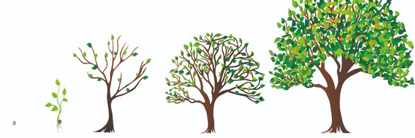 EduFraser Profile Banner