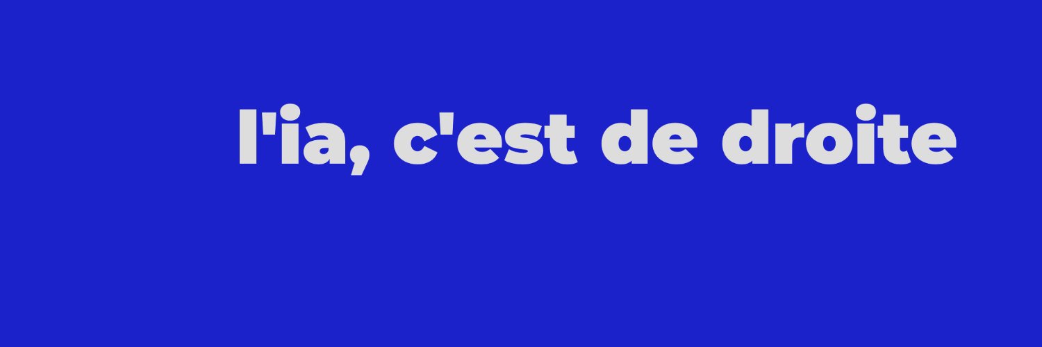 Nicolas / @nborri@mamot.fr banner