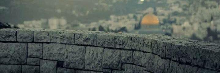 mr_barca11's profile banner image