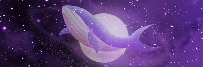 damas1801's profile banner image