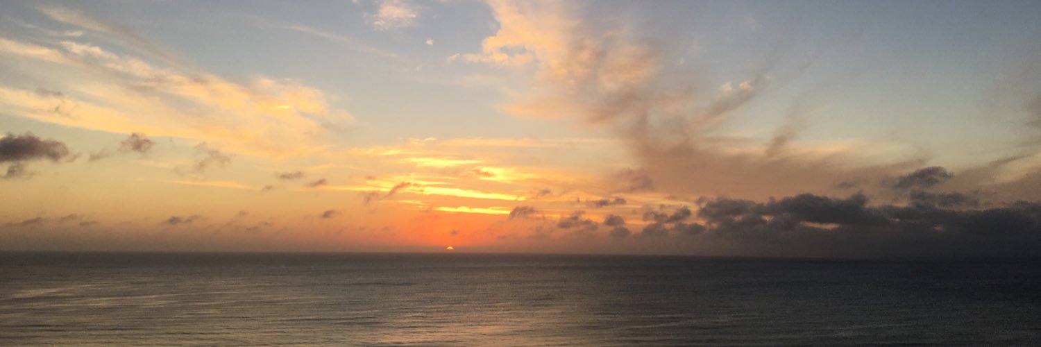 Mollie_Perryman's profile banner image
