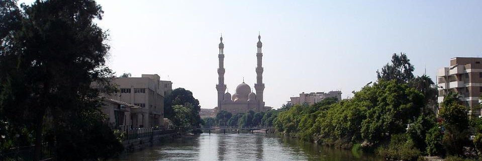 Yaser Kelany 🇪🇬📍🇸🇦 🧑🏻‍⚕️🦈 🤿 ✈ 📷 banner