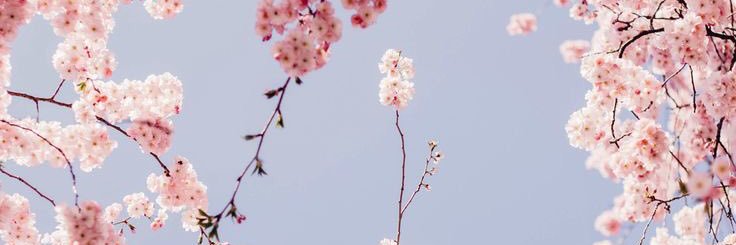 AprilKay03's profile banner image