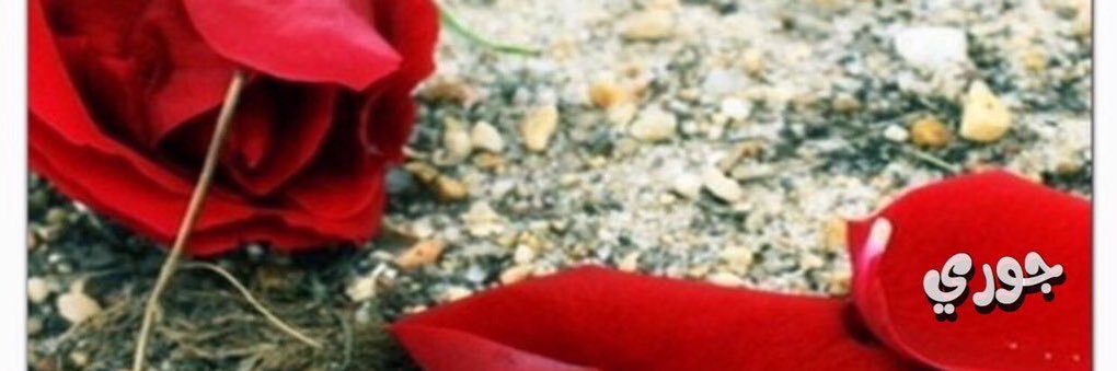 shaa334's profile banner image