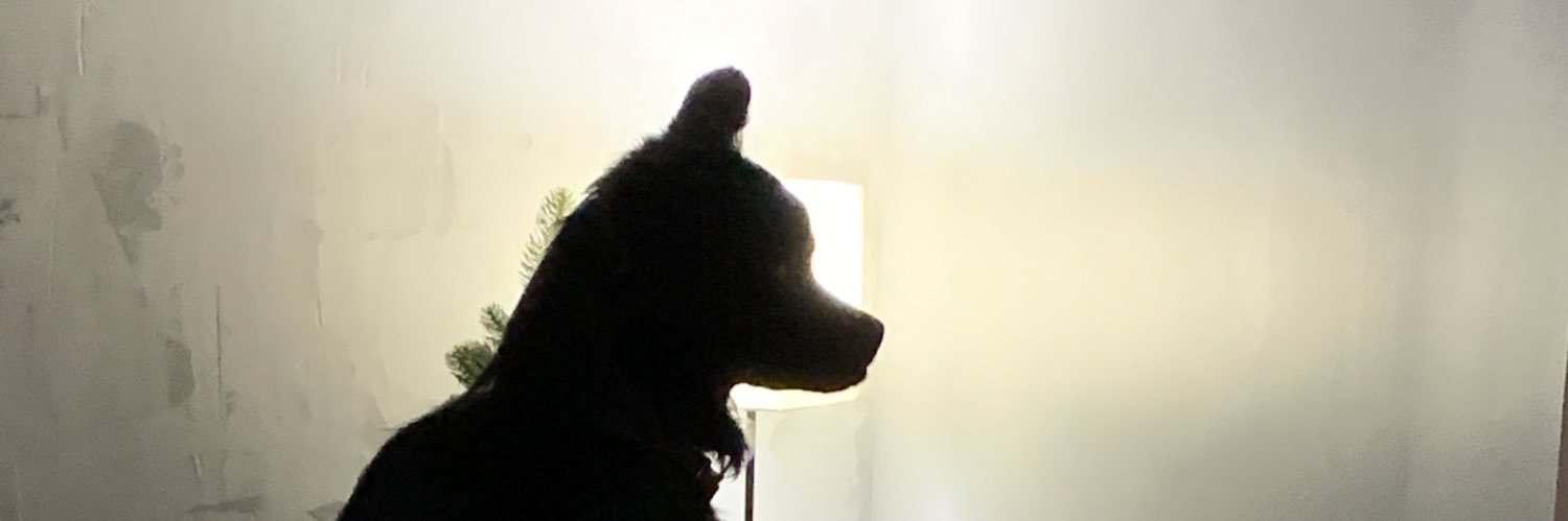 MikeRuccs's profile banner image