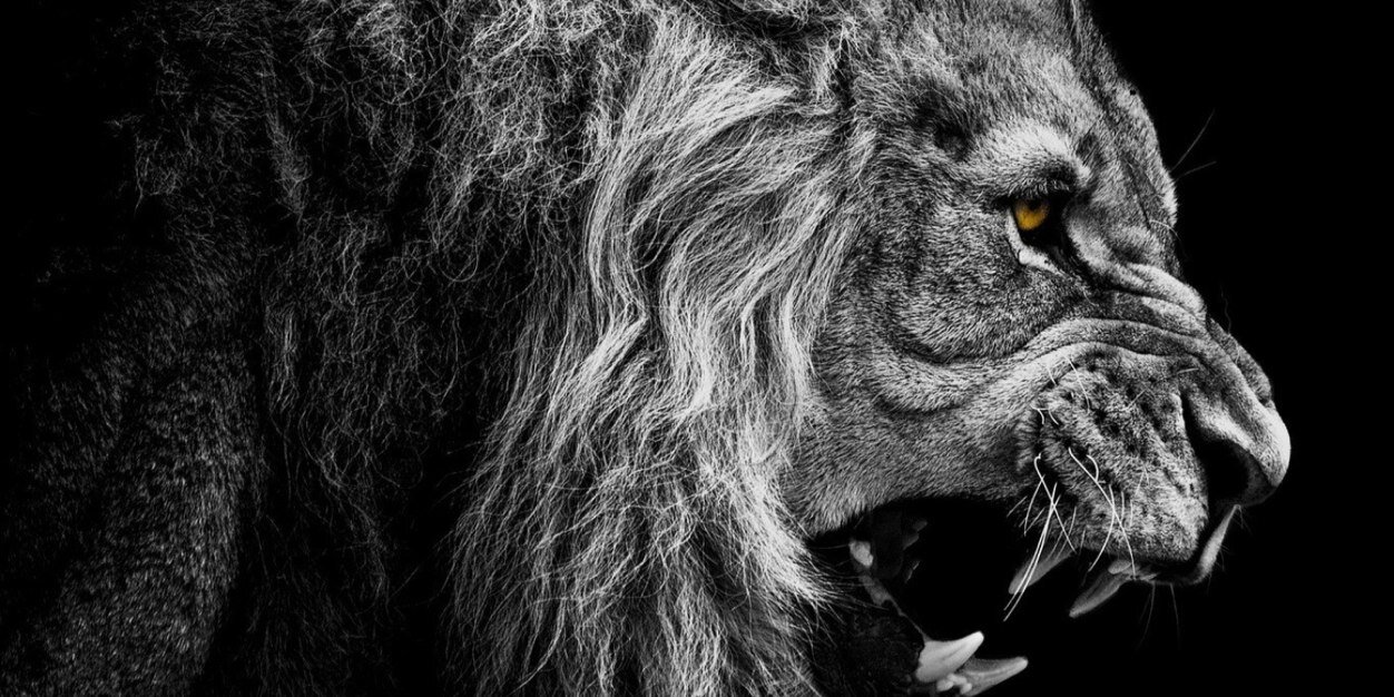 MrAdams2093's profile banner image