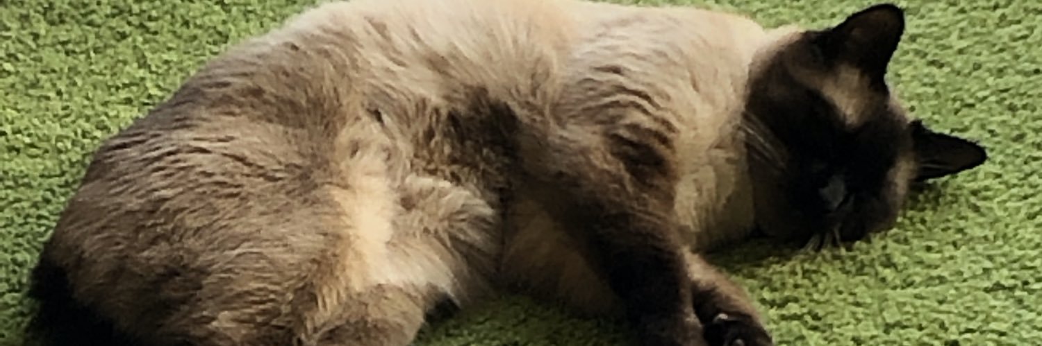 heartmiso's profile banner image