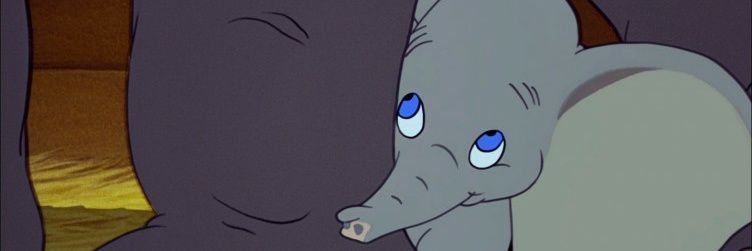 BEDxTIMExBEAR's profile banner image