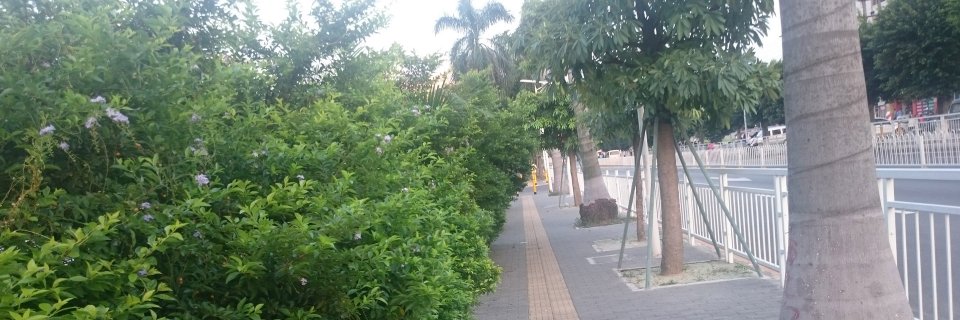 secends0001's profile banner image