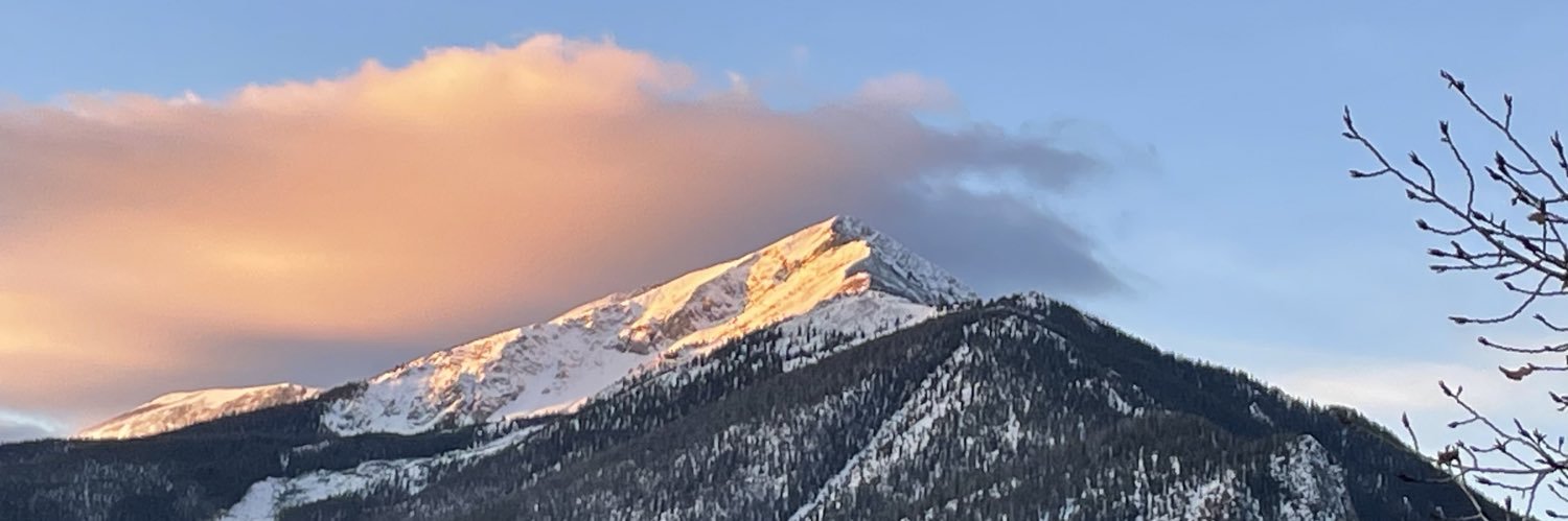 Julie Johnson banner