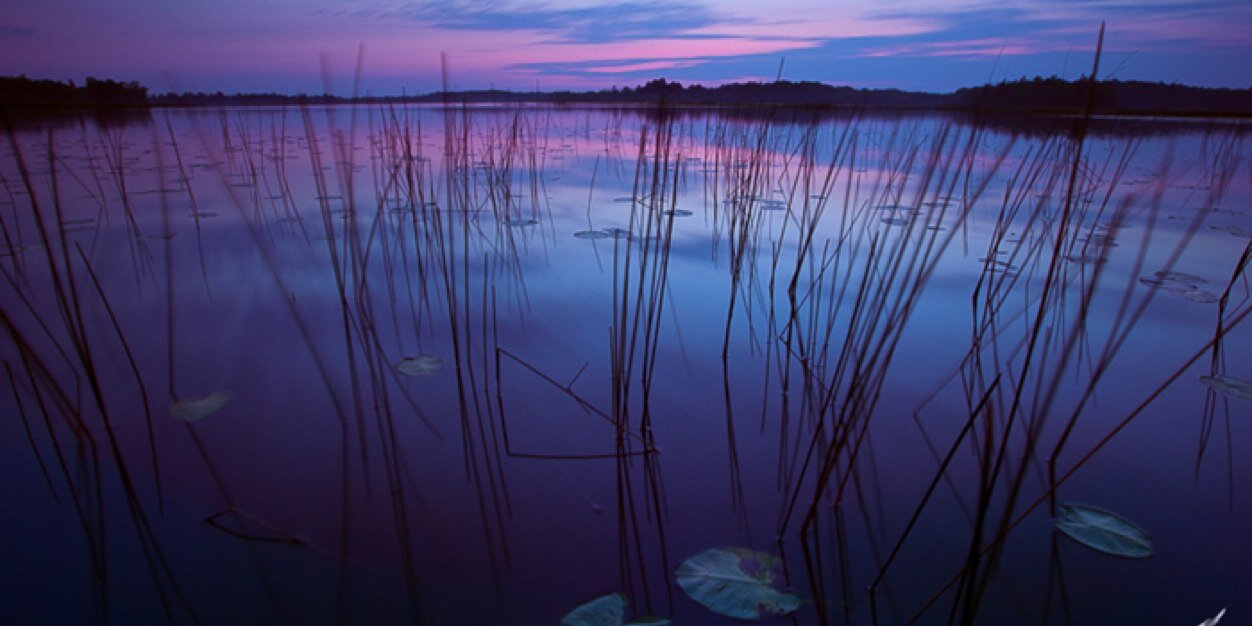 olson_imagery's profile banner image