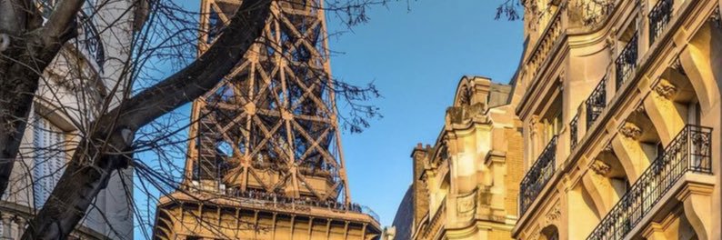 fntasci's profile banner image