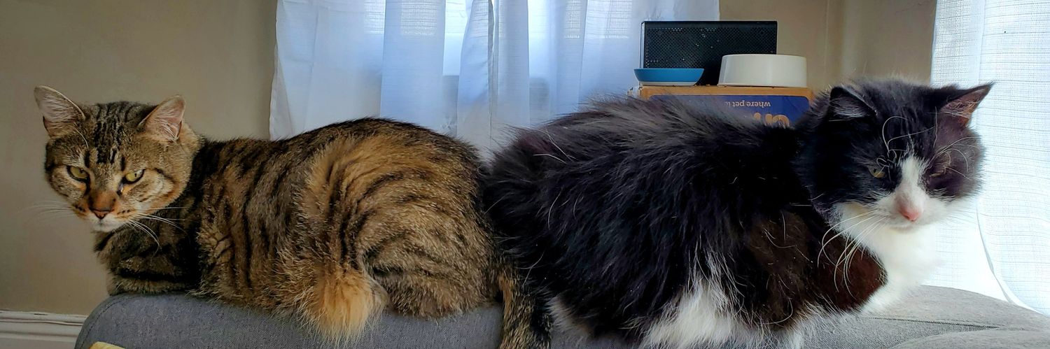 kat_gills's profile banner image