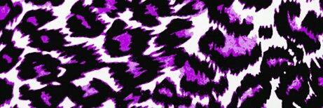 VioletLeopard84's profile banner image