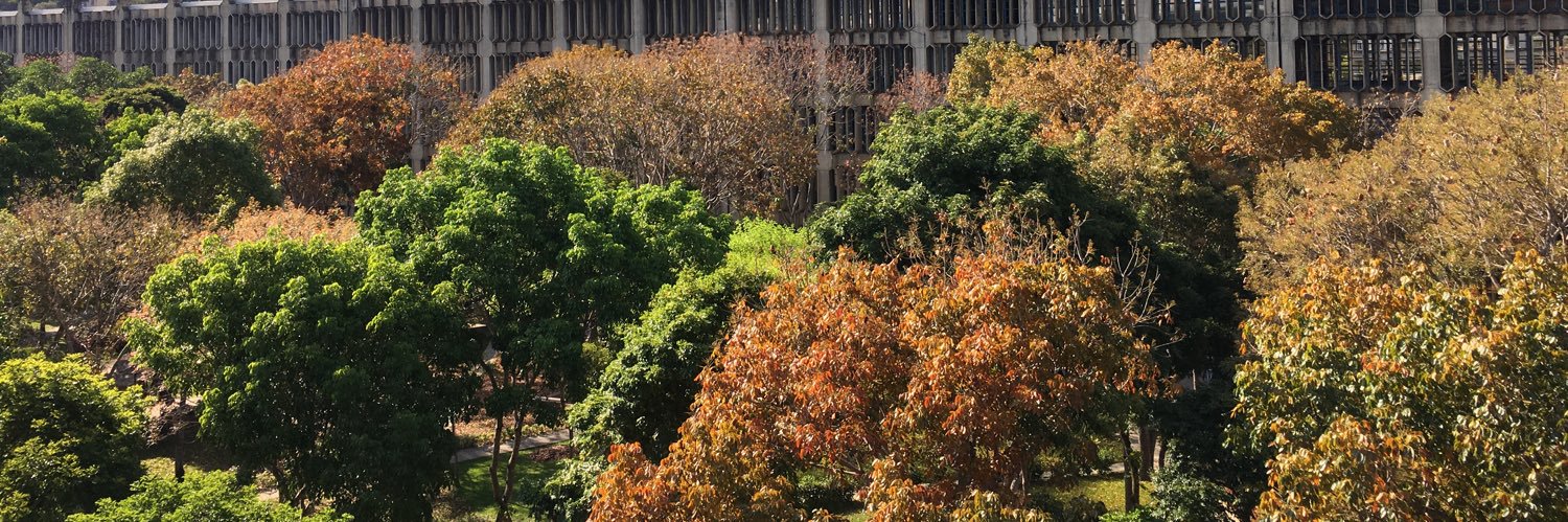 mcalderin's profile banner image