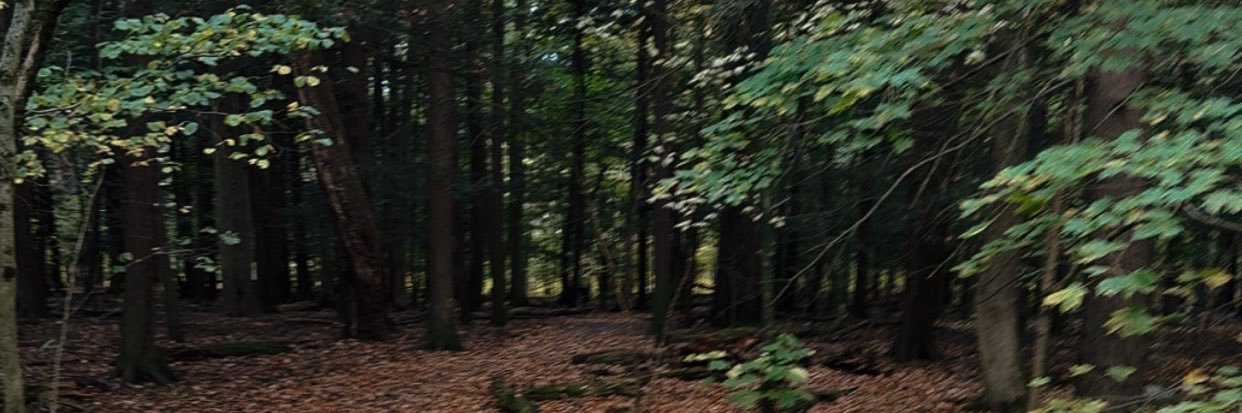 truly_JR's profile banner image