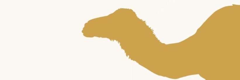 AMSTM_12's profile banner image