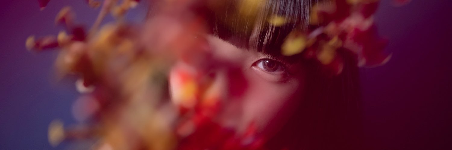 トランペット奏者 秋山璃帆🌸 banner