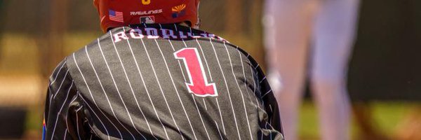 liurod1jr Profile Banner