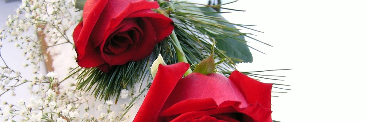 Lutfiaa_N's profile banner image