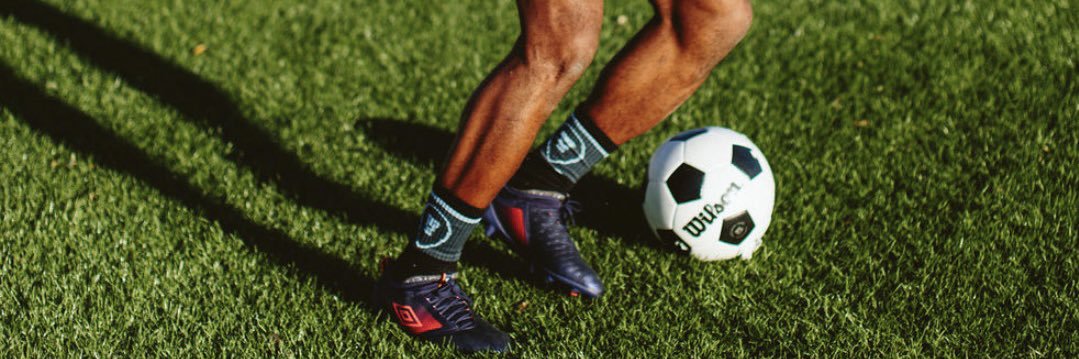 Michael Lahoud banner