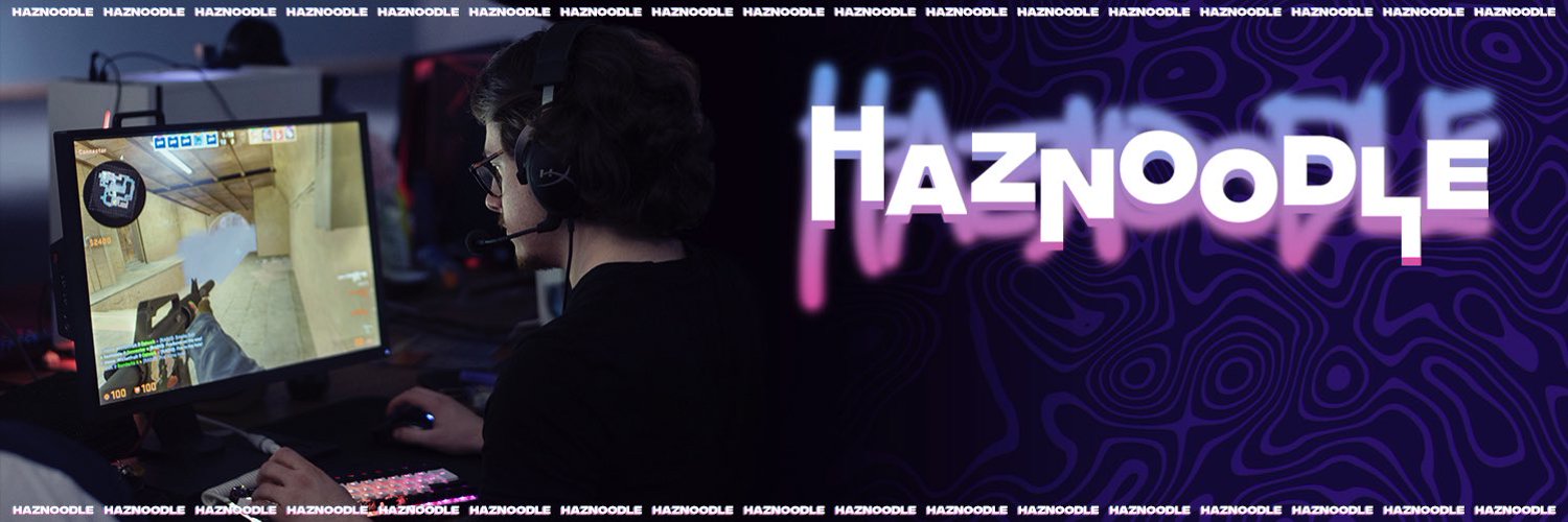 haznoodlë Profile Banner