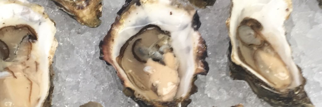 Christine Hayes banner