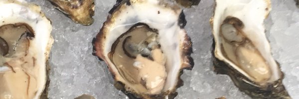 chrishayesuk Profile Banner